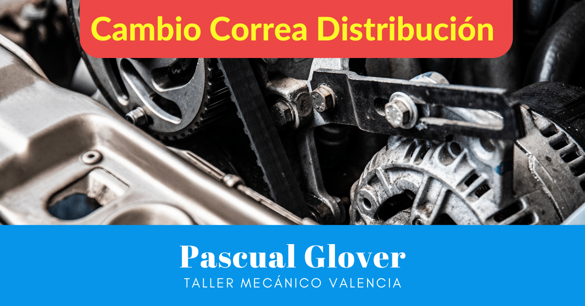 antes de nivel público Taller cambio correa distribución en Valencia - Taller Mecánico en Valencia  - Pascual Glover